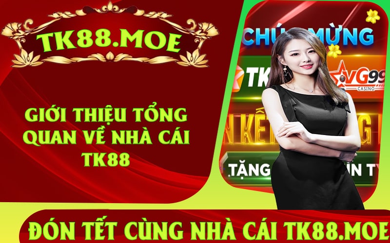 Giới Thiệu Tổng Quan Về Nhà Cái Tk88